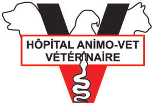 Hôpital vétérinaire Animo-Vet: Votre vétérinaire à Saint-Hubert, QC